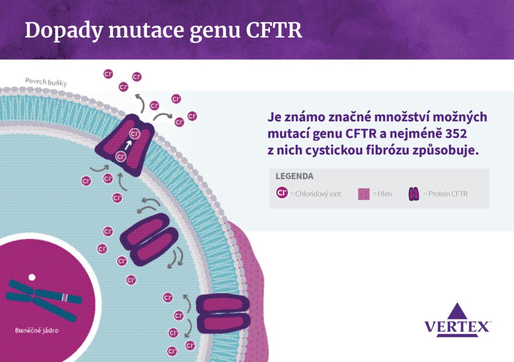 About_CF_Backgrounder_CZ_A53[92][44]