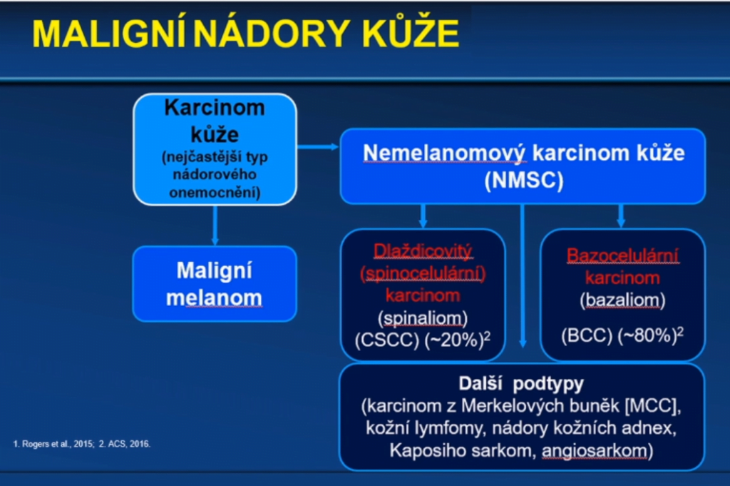 čapoun_Obr 1. (Maligní nádory kůže)