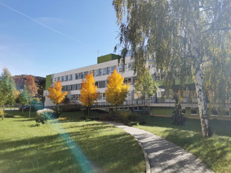 Vsetínská nemocnice